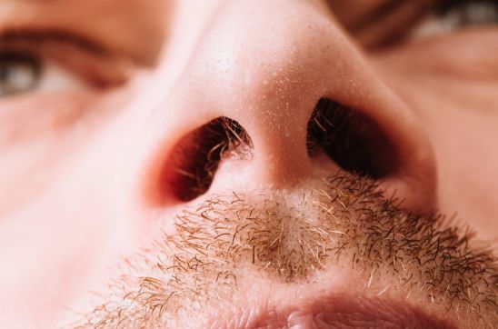 What Is Nasal Hair